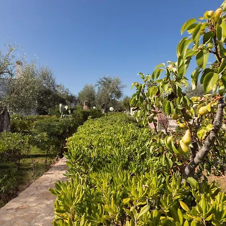 Villantica 3* Vieste